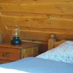 Vila Pod Zarem
