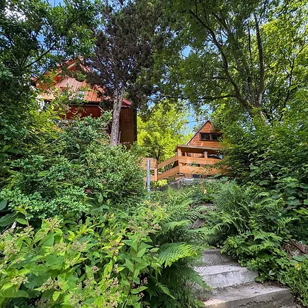 Villa Pod Zarem